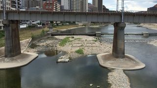 流されても流されても･･･復活！