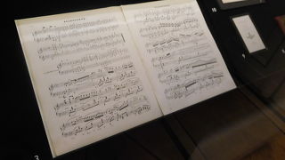 ワルシャワ旧市街から歩いて行けます。お土産屋さんがないのが残念＞＜