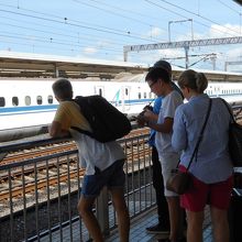 小田原駅で新幹線を見物してる外国のトレインスポッター