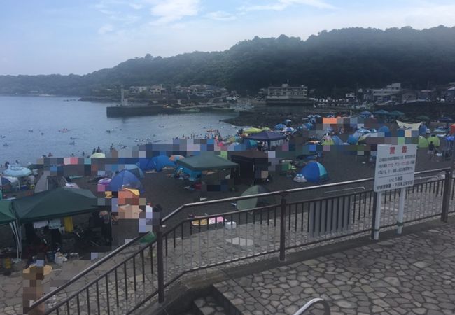 川奈いるか浜公園 クチコミ アクセス 営業時間 伊東温泉 フォートラベル