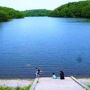 多賀城跡のお堀？…当時は未開発の湿地