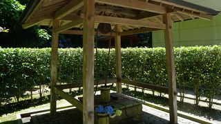 鎌倉十井のひとつ