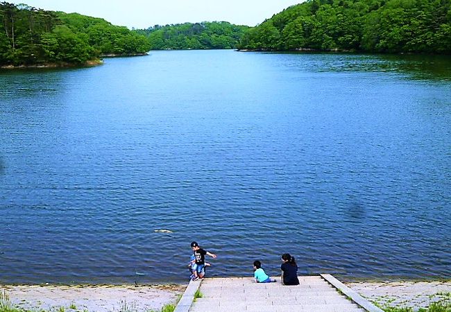 多賀城跡のお堀？…当時は未開発の湿地