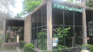 森という呼称はちょっと大袈裟かも…。