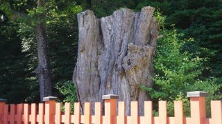 姿よりも物語が大事です