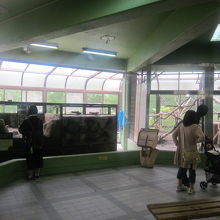 ビーバーの森内部の様子