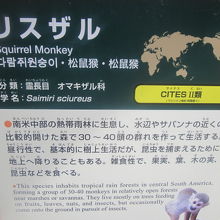 リスザル解説板の様子
