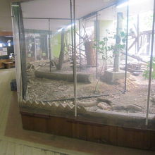 ドサンコの森内には道民に馴染みの動物達が暮らしています