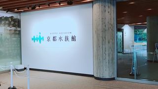 涼を求めてきてみたが