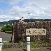 なかなか立派な公園です