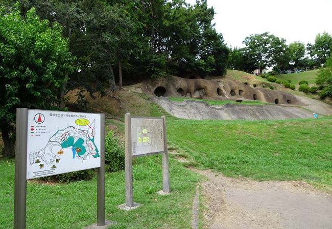 インパクトあります