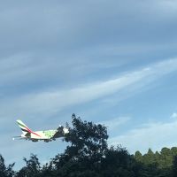 テラスバーでは飛行機の着陸エミレーツek318が見えました♪