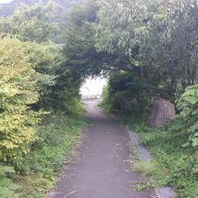 一番明るい場所を選んだ