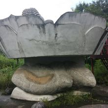 何故カメの上にいるのかわからん