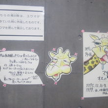 私の最新の訪問時は、まだキリンさんが不在でした…