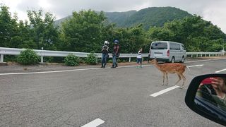 ドライブにぴったり