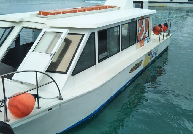 竹富島 マリン倶楽部 クチコミ アクセス 営業時間 竹富島 フォートラベル