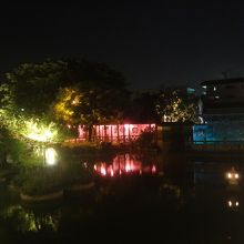 色とりどりの光が美しい