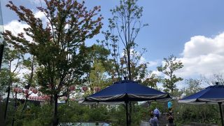 夏休み混みすぎ