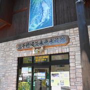 小さな水族館