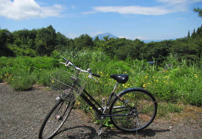 レンタサイクルあり