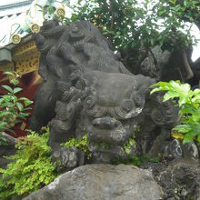 神田明神の獅子山の頂上の下の獅子の像です。北に向いています。