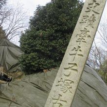 眺めはいいですよ