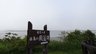 丹頂鶴を写真に