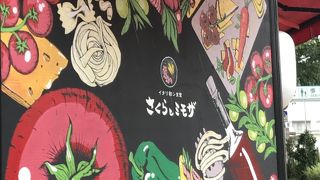 さくらとミモザ