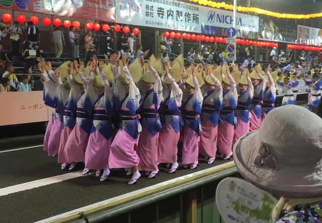 選抜阿波おどり クチコミ・アクセス・営業時間｜徳島市【フォー