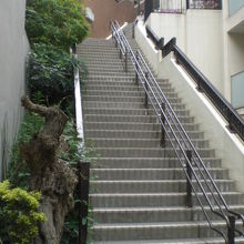 明神女坂の踊り場から、階段の昇り口に近づき、上部を見ています