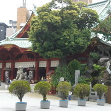 明神女坂を進み、明神男坂と合流、さらに進むと神田明神本殿です