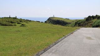 こっちは、牛もいるよ