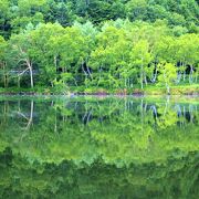 鏡の様な水面に青々とした木々が写り込んで綺麗でした