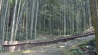 西郷隆盛が往来した当時の姿そのままに