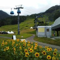 リフト動いてました。