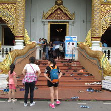 ワット プラシン