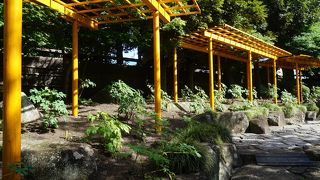 規模がこれほどのものだとは知りませんでした