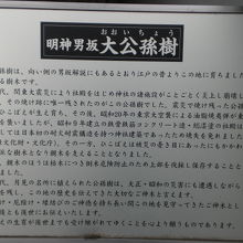 神田明神の大公孫樹の解説板です。明神男坂のすぐ傍にあります。
