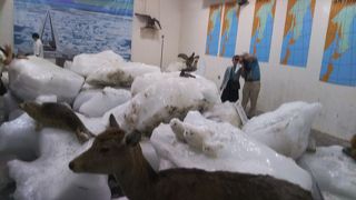 宗谷岬に来たついでに