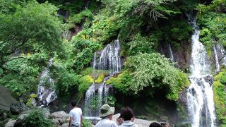 こぶりですが一見の価値あり