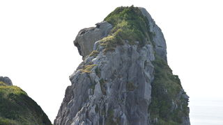 猿というかゴリラ岩