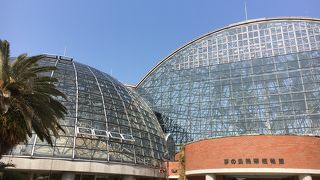 インスタ映え・・？