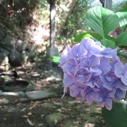 暑い夏に冷たい霊泉なのだが…