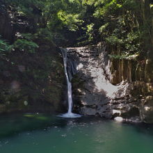 なんとか撮れた一枚