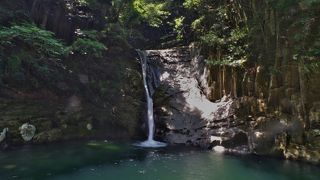 全部見て回るならかなりの強行軍