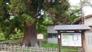 弘前城のある広々とした公園