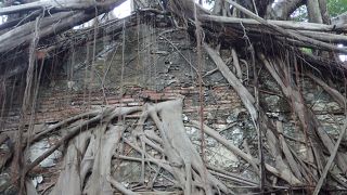 不思議でおもしろい