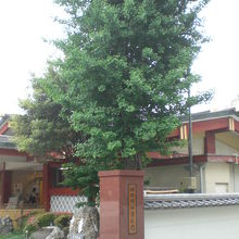 明神男坂とともに、大公孫樹は、神田明神の受付窓口の役割です。