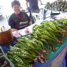 東南アジアでよく見る、デッカイ豆！
